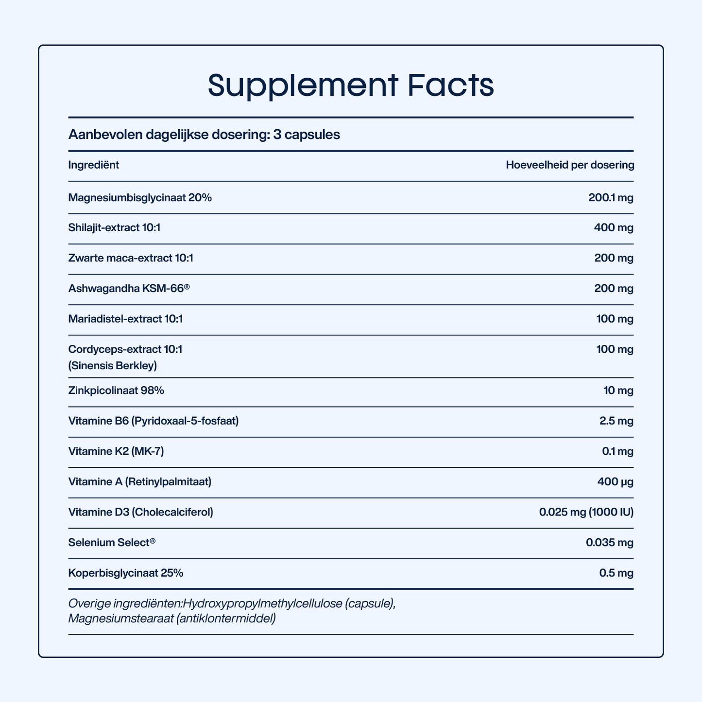 Ultimate Halloweeen Bundel