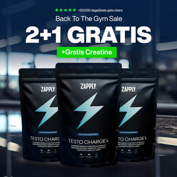 Testo Charge+
